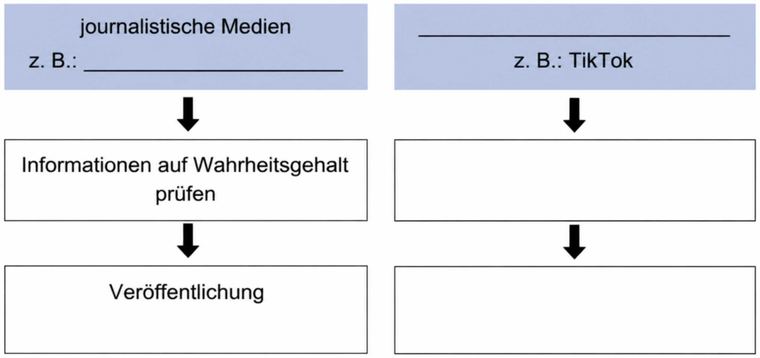 Flussdiagramm: links journalistische Medien, rechts TikTok; Schritte: Informationen prüfen → Veröffentlichung.